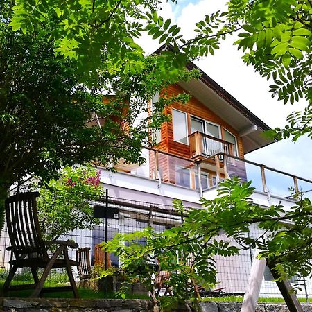 Ferienwohnung Hoellwart - Exclusiv, Ruhige Lage, Panoramablick Bischofshofen Zewnętrze zdjęcie